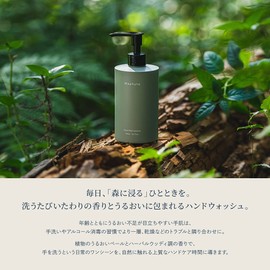 Waphyto Hand Wash, 10.1 fl oz (300 ml), Hand Soap