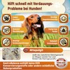 GastroBalance Fast Acting Diarrhoea Aid for Dogs - Natural Dog
