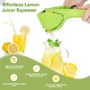 ToGeeKa Lemon Squeezer, Effortless Manual Flat Lime Juicer Squeezer, Hand