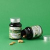 트리플징코플러스 1병 복수구매할인 Triple Ginkgo Plus 1 Bottle Bulk Purchase