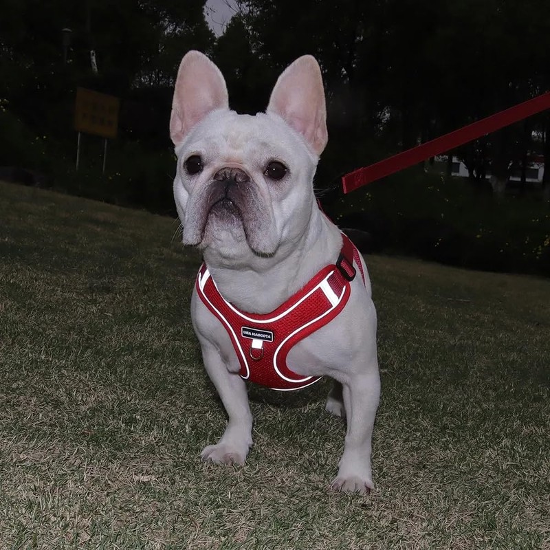 UNA MASCOTA Pechera Arnés Ajustable Triangulo Perros Raza Chica Mediana