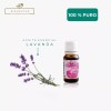 Arbora Kit Aromaterapia Lavanda + Tea Tree 100%puros Y Certificados