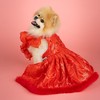 Doggy Parton Evening Star Gown - M, Red