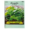 Set of 12 Squash- Zucchini Vegetable Seed Packs - Create