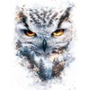CALVENDO Puzzle Owl | Size
