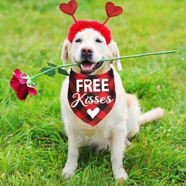JOTFA Valentine's Day Dog Bandanas Costumes, Valentines Dog Outfits Heart Headband for Small Medium Large Dogs (Red, Free Kisses)