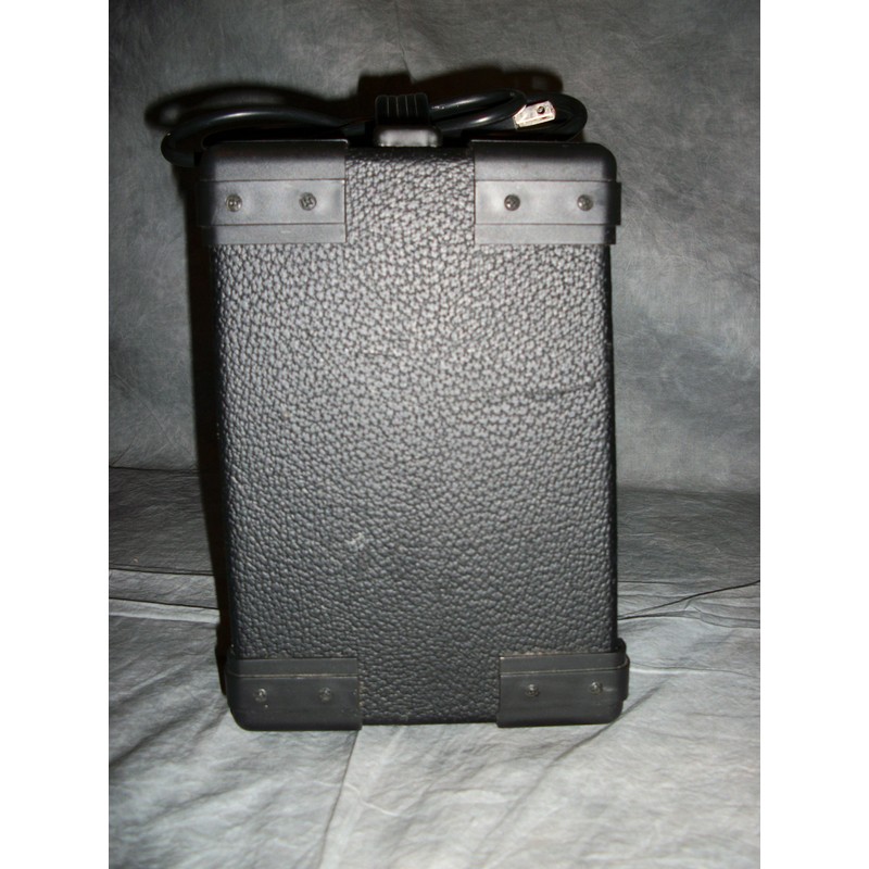 Washburn Bad Dog 8 Watt Amp