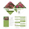 Proven Winners 2 Gal. Double Play Doozie Spirea Shrub