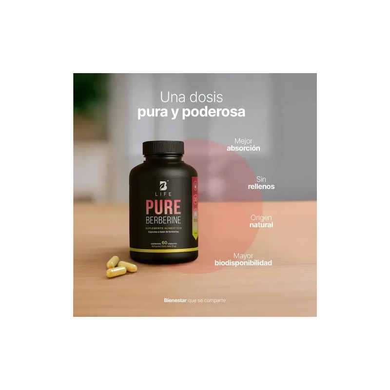 Berberina Pura 60 Cápsulas B Life 1000 Mg Pure Berberine