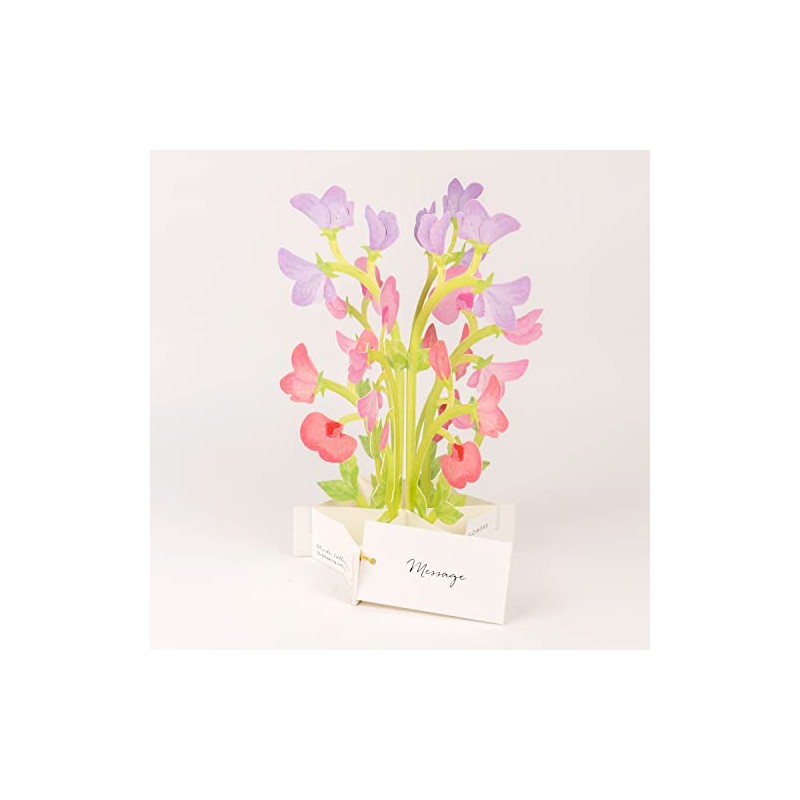GreetingLife KE-37 Blooming Card Sweet Pea