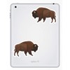 2 x 10cm American Bison Vinyl Stickers - Wild Animal