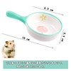 Hamster Bait Dish for Small Animals, Set of 2, Ceramic