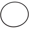 Fluval Motor Seal Ring Gasket for Canister Filters, Aquarium Filter