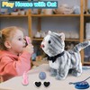Marsjoy Gray Leash Walking Cat Set Interactive Talking Cat Singing