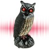 Solar Owl Bird Deterrent for Garden Protection – Waterproof Decoy