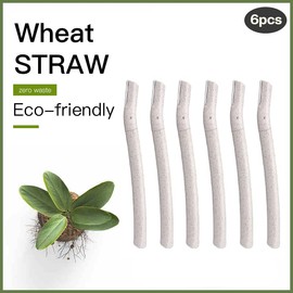 INTER-ESQUE - Eyebrow Razor - Dermaplaning - 6 Pieces (Small)