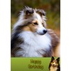 Sheltie/Shetland Sheepdog Birthday Card