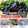 焼成シジミ貝殻 カルサイト 津軽しじみ伝説 240粒 正規品 オルニチン サプリメント