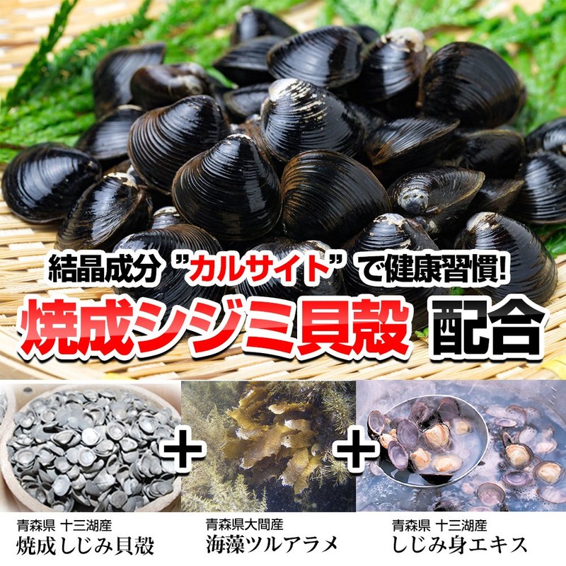 焼成シジミ貝殻 カルサイト 津軽しじみ伝説 240粒 正規品 オルニチン サプリメント