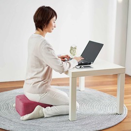 Cogit 93055 Square Cushion, Agri, Long Time, Fatigue, Easy Posture, Multi-functional, Pink Rose