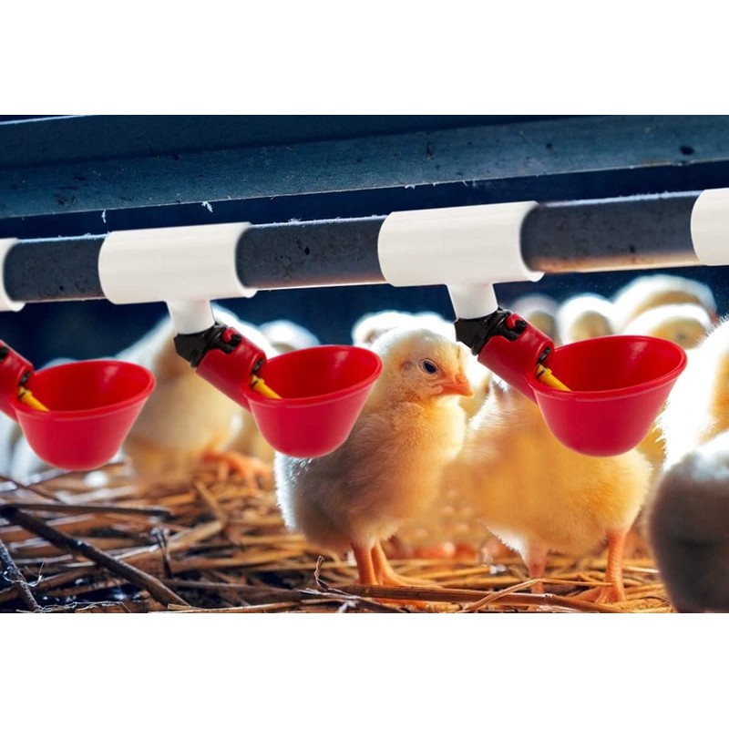 ANCLLO Pack of 6 Automatic Poultry Drinking Cups for Chickens,