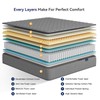 Vesgantti 8 Inch Multilayer Hybrid Twin Mattress - Multiple Sizes