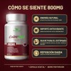 Sundhed Natural - CoQ10 Max 800 mg - Suplemento Alimenticio