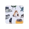 Maxwell & Williams GI0324 Feline Friends Coasters Set of 4