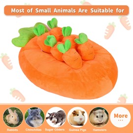 Okydoky Rabbit Foraging Toys, Bunny Toys Guinea Pig Toys, Snuffle Mat for Small Animals of Rabbits Guinea Pig-Carrot Shape, NO.LTZMRWJ