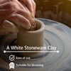 Old Potters Mid High Fire White Stoneware Clay for Pottery