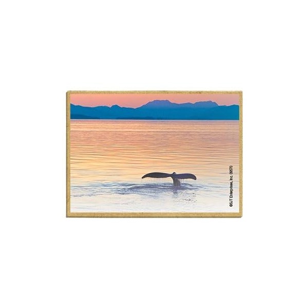 Wildlife Photography Magnet Series – Whale Tail at Sunset Rustic