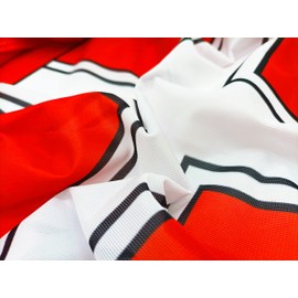 FLAGLY Premium Vienna Flag 100 x 150 cm - 115 g/m² Fabric Weight - Printed, Robust and Weather-Resistant Gloss Polyester with Eyelets (100 x 150 cm, Vienna)