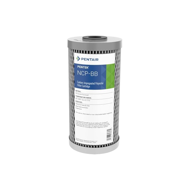 Pentair Pentek NCP-BB Big Blue Carbon Water Filter, 10-Inch, Whole