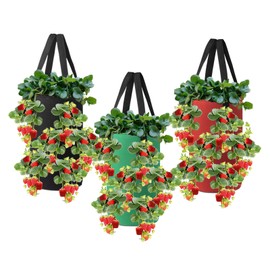 Nicheo 3 Pcs 3 Gallon Hanging Strawberry Planter Hanging Aeration Planter for Strawberry Tomato and Hot Pepper Strawberry Grow Bag Upside-Down Tomato Planter Vegetable Planting Bags with Holes