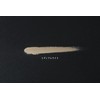 Long Lasting Foundation Medium Light Liquid Foundation, Genuine Product SPF