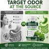 Fresodor para Mal Aliento, Internal Body Deodorizing Supplement with Chlorophyll,