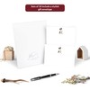Me Loovely Border Collie Letter Writing Paper and Envelopes Set