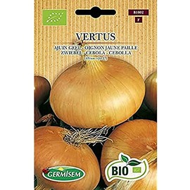Germisem Vertus ECBIO1002 Onion