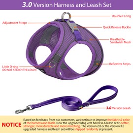 AIITLE Escape Proof Dog Harness - Step in Adjustable Dog Harness No Choke Over with Breathable Mesh and Quick-Release Buckle for All Weather- Outdoor Walking, Training for Medium Dogs Pure Purple XL