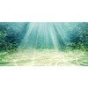 AWERT 60x24 inches Aquarium Background Aquatic Plant Bubble Underwater Ocean
