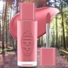 IPKN Naturally Derived Color Puppy Glow Lip Tint 02 Mauve Moon 1ea / 입큰 자연유래 발색 퍼피 글로우 립틴트 02모브문 1개