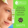 SANTE Naturkosmetik Pore Control brufoli Stop – 15 ml –