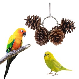 LWINGFLYER Parrot Chew Toy - Natural Pine Cones Parrot Chewing Toys Bird Toys with 6PCS Pine Cones Hangable Bird Cage Toy for Cage for Small and Medium-Sized Macaws, Cockatoos, Parakeet