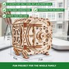 Wood Trick Safe Wooden Model Kit for Adults and Kids