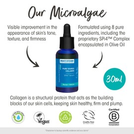 Beauty Kitchen - Seahorse Plankton SPI Pure Source Collagen Serum 30ml - Anti Aging & Hydrating Collagen Serum - Supports Skin Barrier - Keeps Skin Plump/Firm - Vegan/Cruelty Free