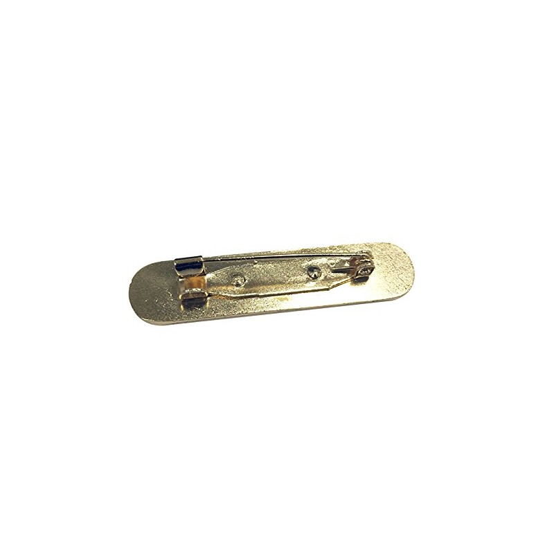 Capricornone Ambassador Gel Domed School Bar Badge (Blue)