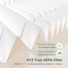 T356 Replacement Filter Compatible with Trucozie T356 Air Purifi-er, 3-IN-1