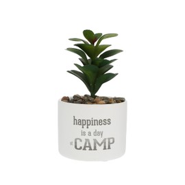 Pavilion - Camp - Mini 6" Tall Indoor Faux Fake Artificial Succulent House Plastic Potted Plant Planter Shelf Decor Camper Camping RV Tent Cabin Decoration