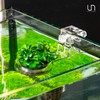 Ultum Nature Systems Hydro Pot Holder – Clear Adjustable Acrylic
