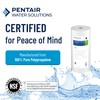 Pentair Pentek DGD-5005 Big Blue Water Filter, 10-Inch Whole House